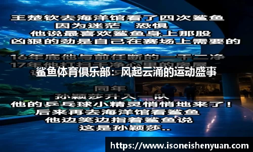 星空综合(中国)官方网站