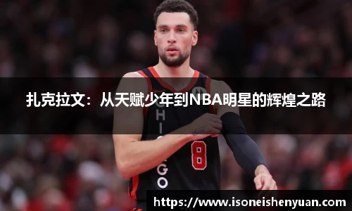 星空综合(中国)官方网站