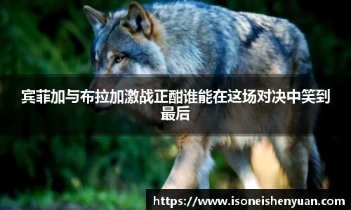 星空.综合体育官网