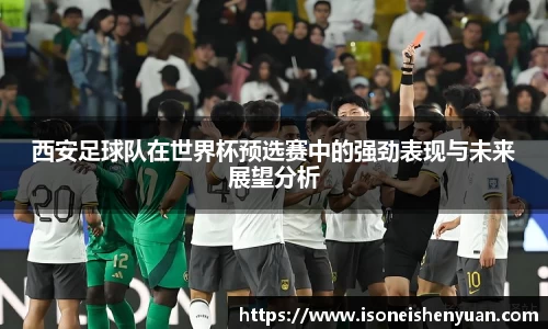 星空.综合体育官网